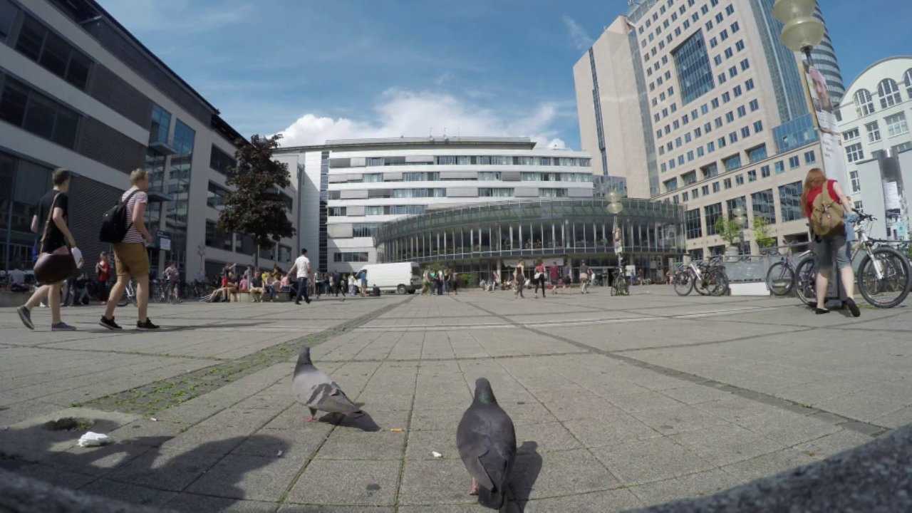 Capture d'écran vidéo sur le campus universitaire Capture d'écran vidéo sur le campus universitaire