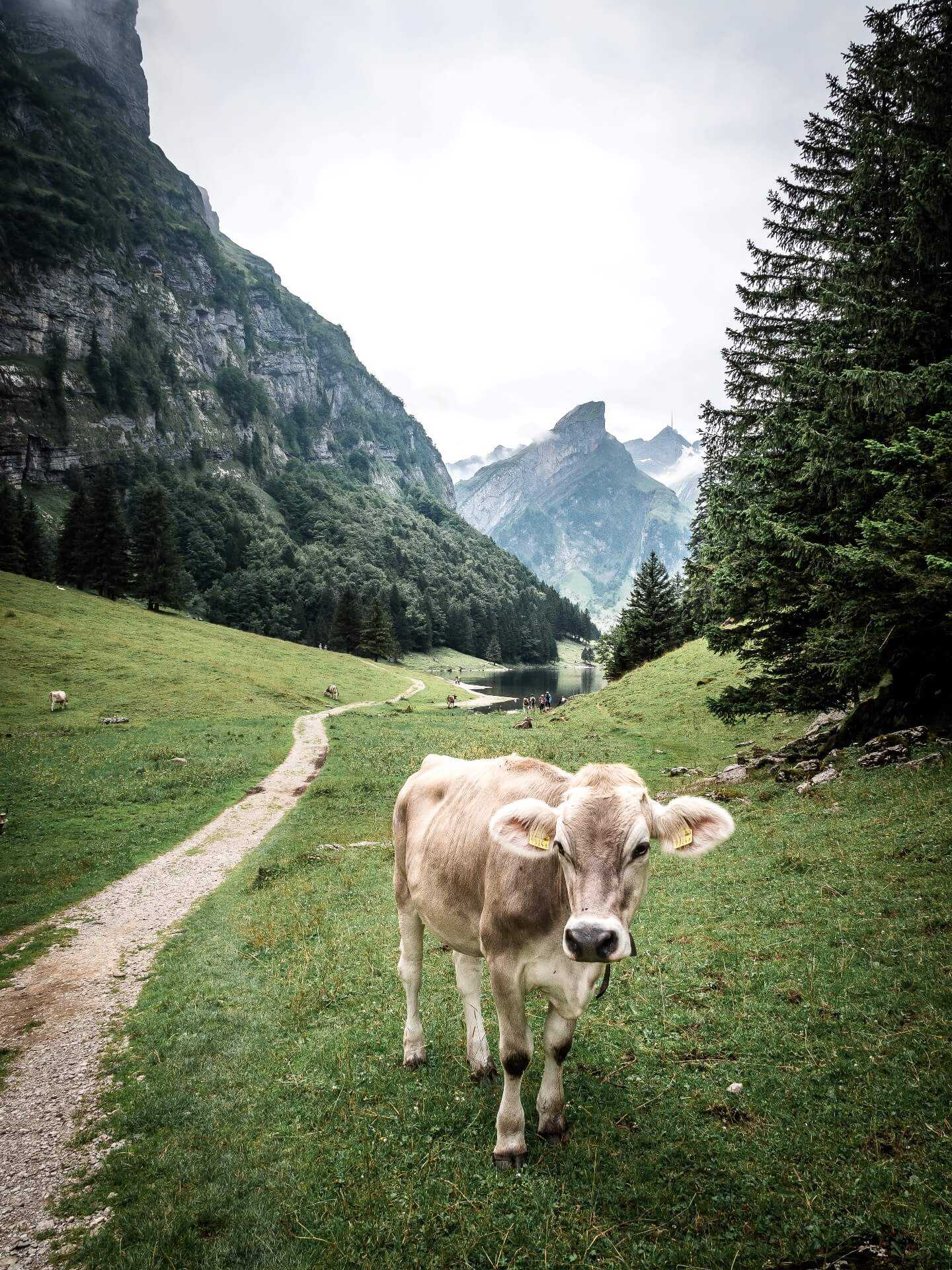 Appenzell Innerrhoden_Seealpsee