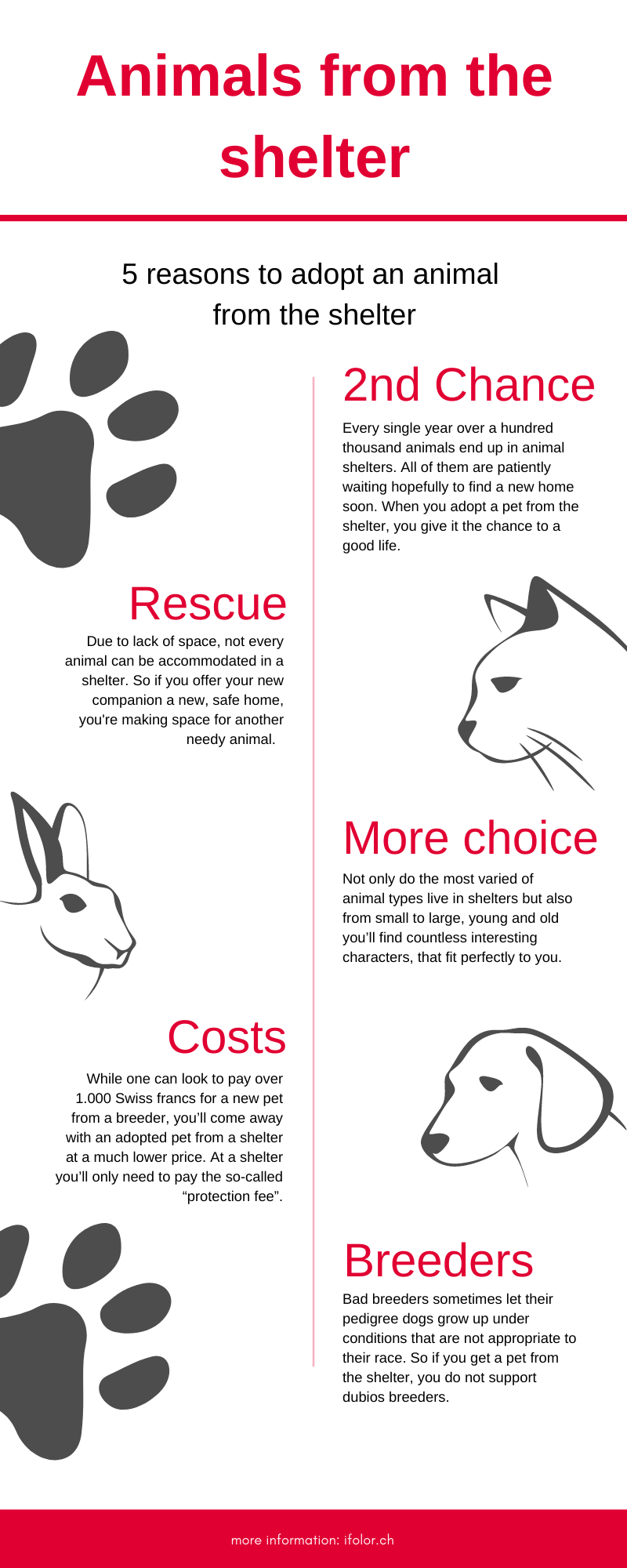 Adopting an animal from a shelter Adopting an animal from a shelter