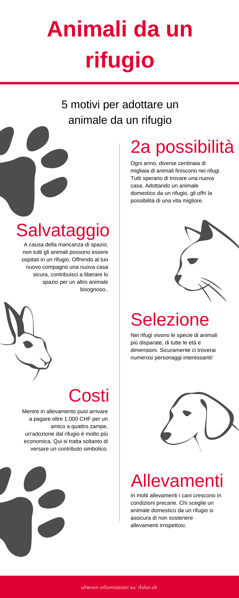 Adotta un animale da un rifugio Adotta un animale da un rifugio