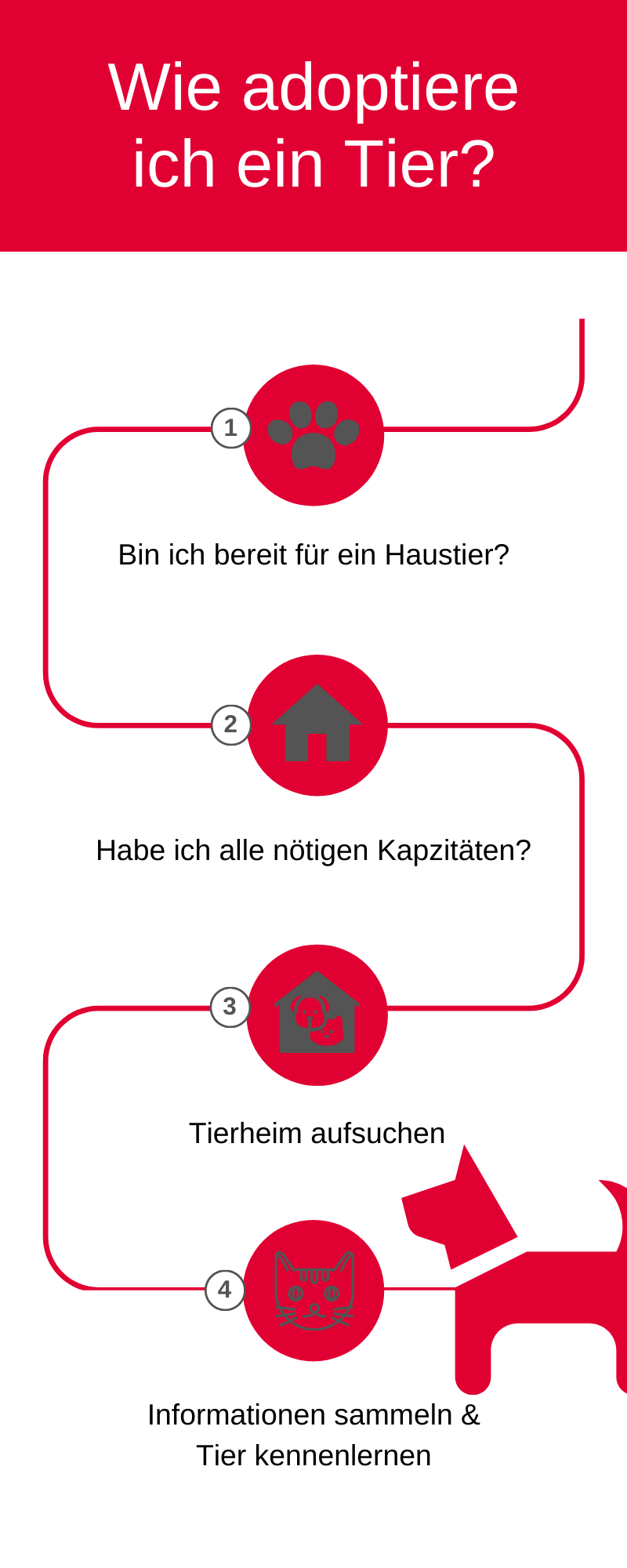 Ein Tier aus dem Tierheim adoptieren Ein Tier aus dem Tierheim adoptieren