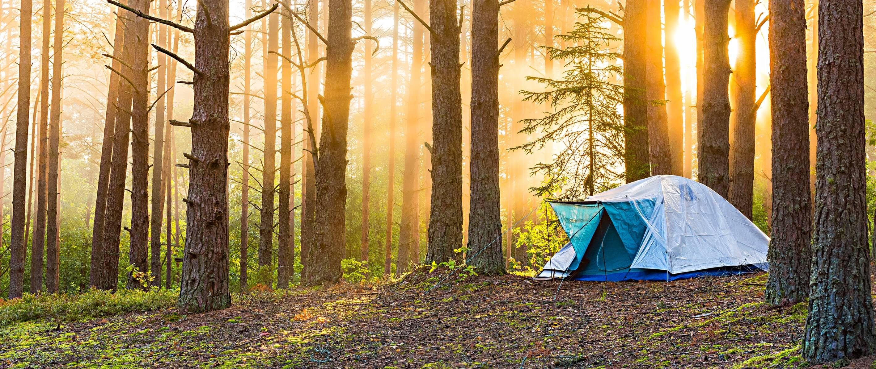 Accessori per il campeggio: quali i preferiti?