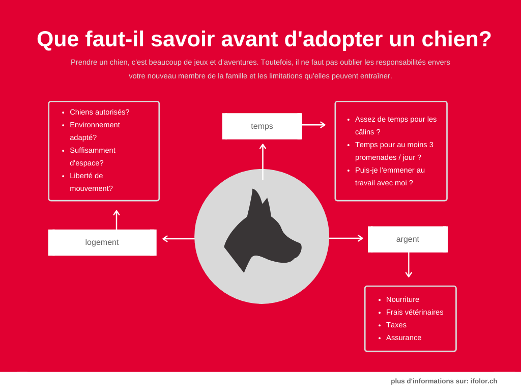 Ce qu'il faut savoir avant d'acheter un chien Ce qu'il faut savoir avant d'acheter un chien