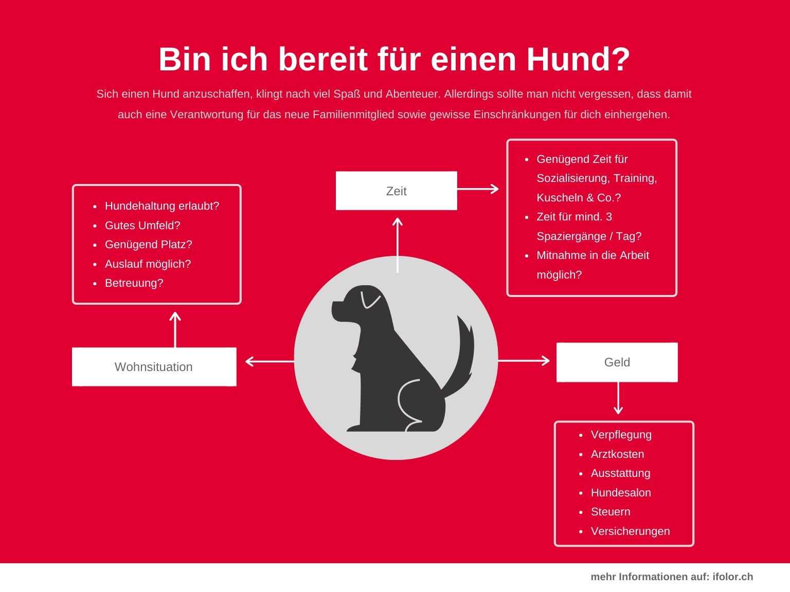 Bin ich bereit für einen Hund? Bin ich bereit für einen Hund?