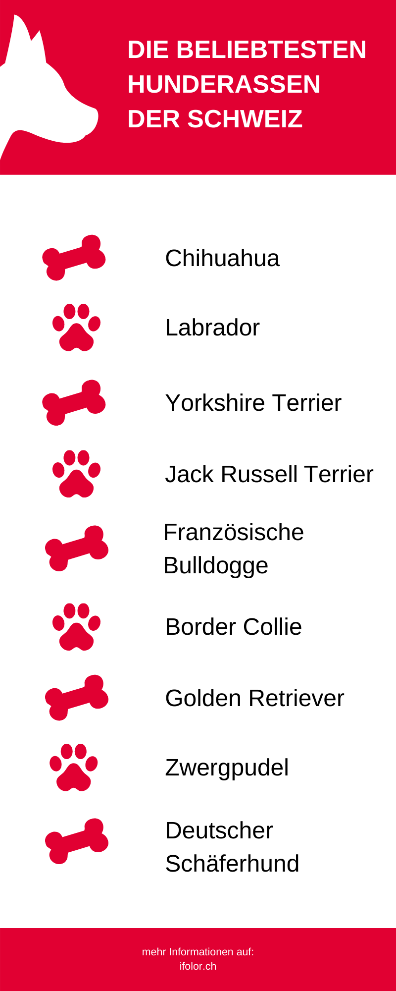 Das sind die beliebtesten Hunderassen der Schweiz Das sind die beliebtesten Hunderassen der Schweiz