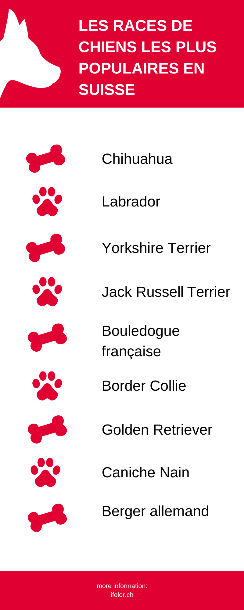 Voici les races de chiens les plus populaires en Suisse Voici les races de chiens les plus populaires en Suisse