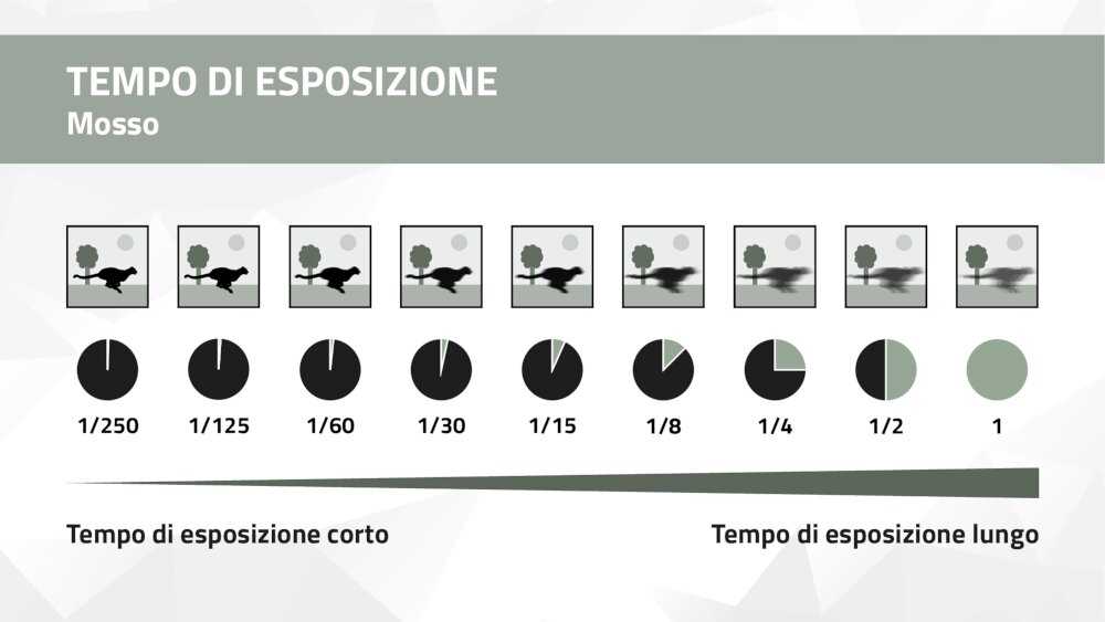 Grafica dei tempi di esposizione – Livello di nitidezza per differenti tempi di esposizione Grafica dei tempi di esposizione – Livello di nitidezza per differenti tempi di esposizione