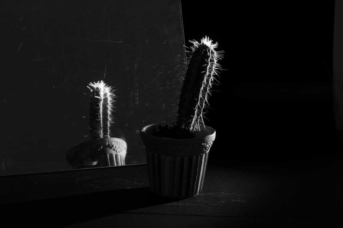 Image composition – light and shadow Image composition – light and shadow
